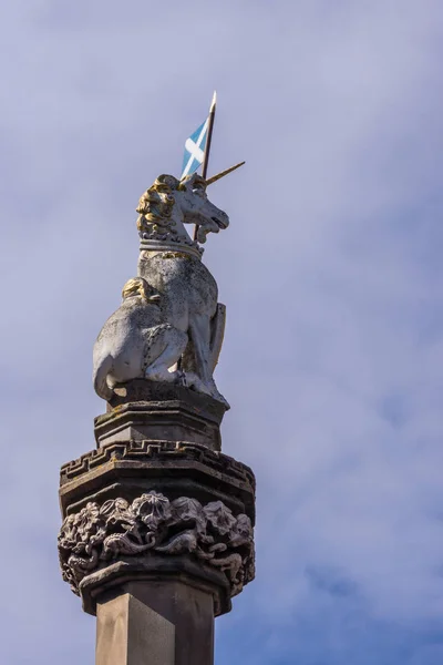 Edinburgh Skottland Storbritannien Juni 2012 Närbild Vit Enhörning Med Skotsk — Stockfoto