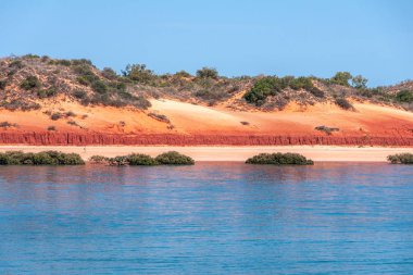 Broome, Wa, Avustralya - 29 Kasım 2009: mavi gökyüzü mavi su ile bazı yeşil bitki örtüsü üstte kırmızı dunes tarafından yapılan portre yatay çizgi ayıran. 
