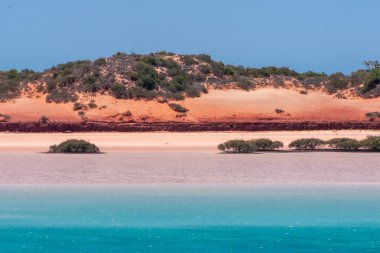 Broome, Wa, Avustralya - 29 Kasım 2009: portre yatay çizgi ile bazı yeşil bitki örtüsü üstte kırmızı dunes tarafından yapılan mavi gökyüzü masmavi su ayırır. Düşük Tide.