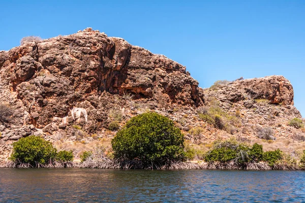 Exmouth Australie Occidentale Novembre 2009 Gorge Ruisseau Yardie Dans Parc — Photo