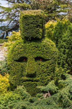 Edinburgh, İskoçya, İngiltere - 14 Haziran 2012: Sanatsal derin yeşil çitleri çevre Whitehouse Bay kesilmiş bir kırsal yol boyunca Dalmany evi inecek. Doğu Adası maskeleri mohawk ile