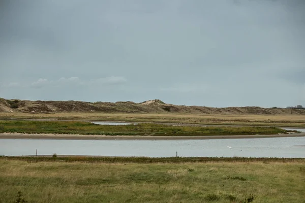 Knokke Heist Belgie Září 2018 Detail Zelené Zwin Letadla Mořskou — Stock fotografie