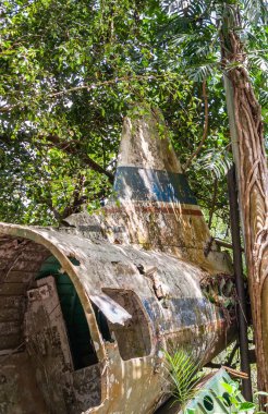 Kuranda, Queensland, Avustralya - 4 Aralık 2009: Closeup Dc gri-kahverengi-mavi uçak enkazı tarafından yeşil orman büyümüş kuyruk bölümünün. 