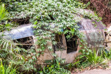 Kuranda, Queensland, Avustralya - 4 Aralık 2009: tarafından yeşil orman büyümüş Dc Closeup gri-kahverengi-mavi uçak enkazı bölümü. 