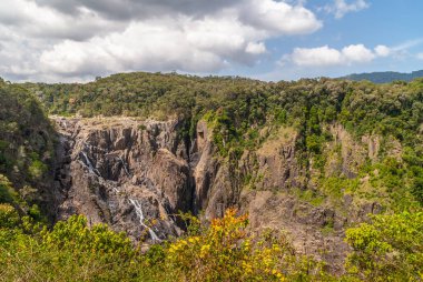 Kuranda, Queensland, Avustralya - 4 Aralık 2009: Barron düşüyor, beyaz su yeşil doğada kahverengi rock uçuruma katmanlı çağlayan. Ön yeşil bitki örtüsü. Cennet ile mavi gökyüzü.