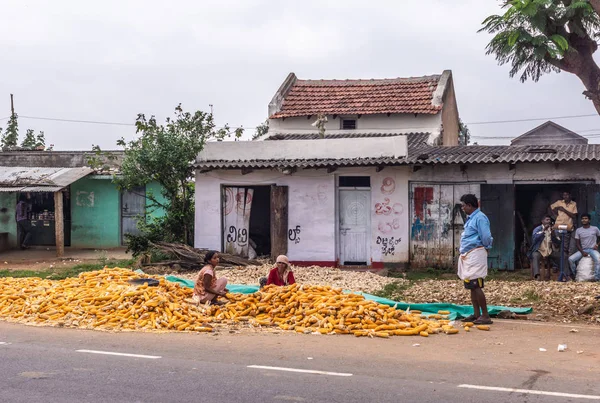 Angadihalli Karnataka India Noviembre 2013 Dos Mujeres Trabajan Clasificando Mazorcas — Foto de Stock