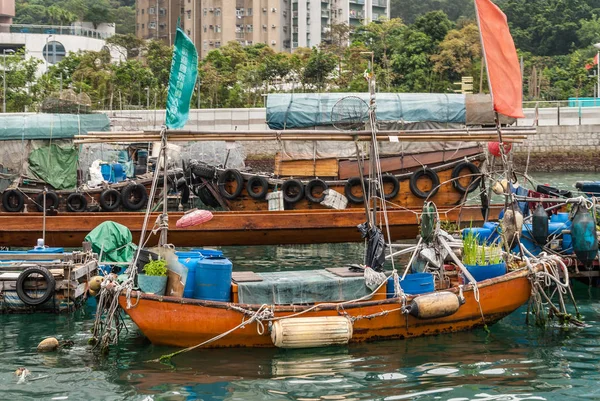 Hongkong Kina Maj 2010 Närbild Orange Trädgård Slup Husbåt Förtöjd — Stockfoto