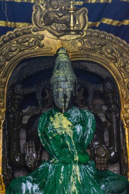 Belur, Karnataka, India - November 2, 2013: Chennakeshava Temple. Devi Ranganayaki smeared with ghee during Abisheka ceremony in Andal shrine. Idol in wet green dress. Yellow over black face and green dress. clipart