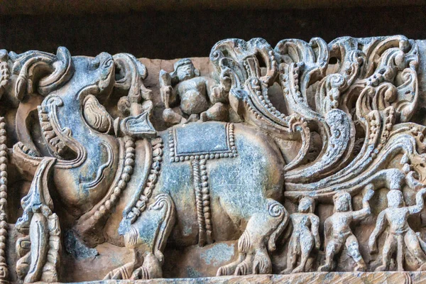 Halebidu Karnataka Indien November 2013 Hoysaleswara Tempelet Shiva Närbild Elefant — Stockfoto