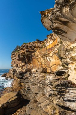 Bronte Beach, Sydney Avustralya 'da Güney uçurum kayalar.