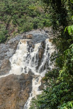 Barron, Kuranda Rain Forest 'ta, Cairns Avustralya 'da düşüyor.