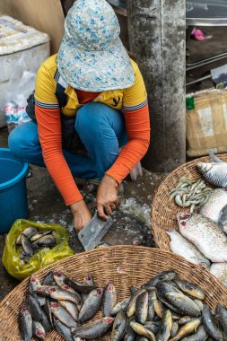 Balık satıcısı Phsar Leu Market, Sihanoukville Cambodi de balık keser