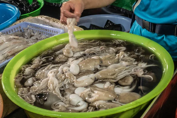 Basin with squids at Phsar Leu Market, Sihanoukville Cambodia. — Stock Photo, Image
