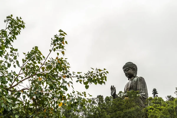 Tian Tan Buddha ağaçların üzerinde peeps, Hong Kong Çin. — Stok fotoğraf