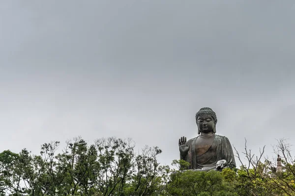 Frontal view, Tian Tan Buddha peeps over trees, Hong Kong China. — Stok fotoğraf