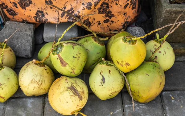 Närbild av kokosnötter i Banjar Gelulung, Bali Indonesien. — Stockfoto