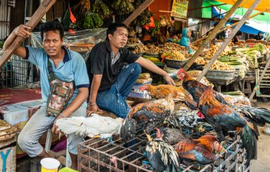 İki adam, Güney Makassar 'da Terong Street Market 'te tavuk satıyor