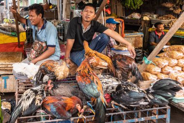 İki adam, Güney Makassar 'da Terong Street Market 'te tavuk satıyor