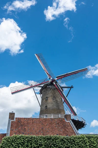 Molino de viento de Sluis, Holanda . — Foto de Stock