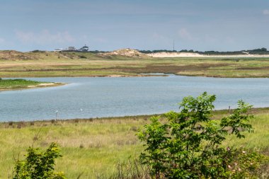 Tuzlu su dere ve zwin Kuş Sığınağı, Knokke-Heist, Fl kumulları