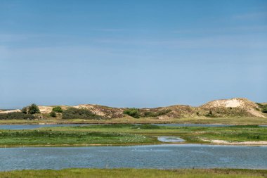 Tuzlu su dere ve zwin Kuş Sığınağı, Knokke-Heist, Fl kumulları