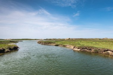 Tuzlu su dere ve zwin Kuş Sığınağı, Knokke-Heist, Fl kumulları