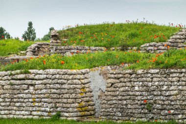 Flanders Fields Poppies darbe, Diksmuide, Flanders, Belçika