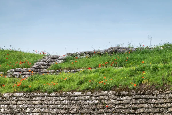 In flanders fields bläst der Mohn, diksmuide, flanders, belgiu — Stockfoto