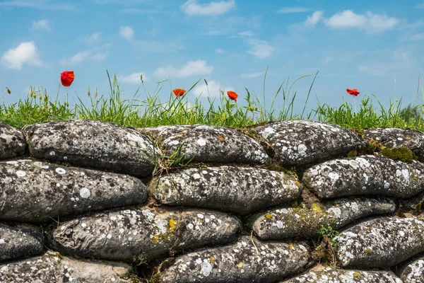 In Flanders Fields the Poppies Blow, Diksmuide, Flanders, Belgiu — Stock Photo, Image