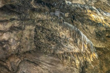 Grottes-de-Han'daki sarkıtlar, Han-sur-lesse, Belçika.