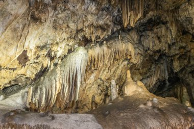 Grottes-de-Han'daki sarkıtlar, Han-sur-lesse, Belçika.