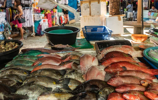 Seleção de peixes vermelhos no Endeqal Seafood, Balabag, Boracay, Ph — Fotografia de Stock