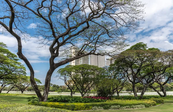 Amerikan Mezarlığı ve Anıtı'ndaki mezar taşları ve ağaçlar,