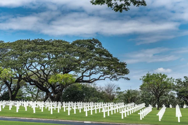 Rows of crosses and trees at American Cemetery and Memorial, Man — Stock Photo, Image