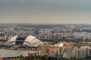 Singapur Ulusal Stadyumu'nda kuşlar göz yakın çekim.