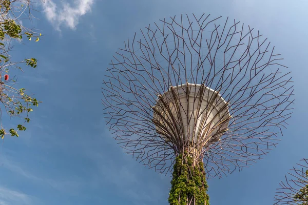 Naked Supertree in Golden Garden at Gardens by the Bay, Singapor — Stock Photo, Image
