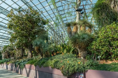 Çiçek Kubbesi'nde bitkiler, çiçekler ve ağaçlarla çevrili geçit, Si