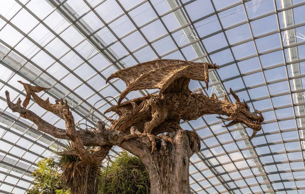 Effigie en bois marron du dragon volant à Flower Dome, Singapour . — Photo