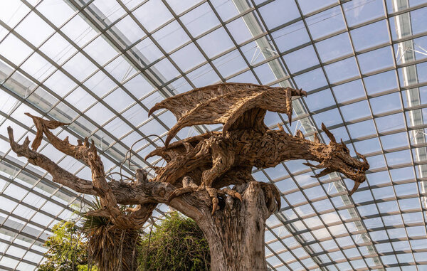 Brown wooden effigy of flying dragon in Flower Dome, Singapore.