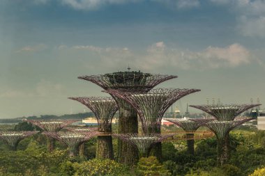 Supertree Grove in Marina Bay Gardens, Singapur.