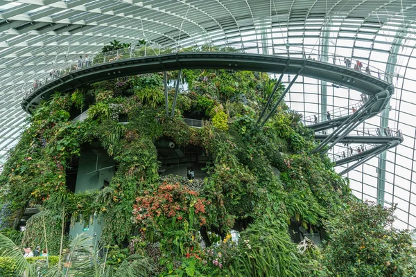 Sétány körül tetején hegy Cloud Forest Dome, Szingapúr. — Stock Fotó