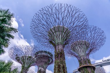 Gardens by the Bay, Singapur'da dört süper ağaç.