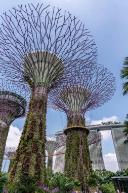 Portre, Supertrees ve Marina Bay Sands Bahçeler De Bay tarafından,