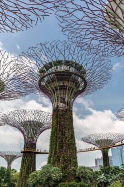 Supertrees ve Bay, Singapur tarafından Gardens asılı skyway.