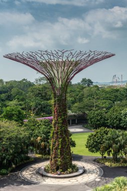 Bay, Singapur tarafından Gardens bir supertree.