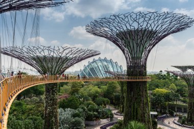 Skyway Bay, Singapur tarafından Gardens supertrees bağlantı.