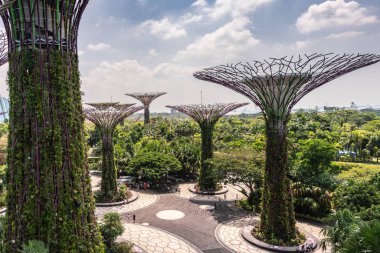 Singapur'da süper ağaçlar grubu.