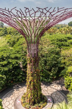 Bay, Singap tarafından Gardens yeşillik üzerinde supertree Closeup