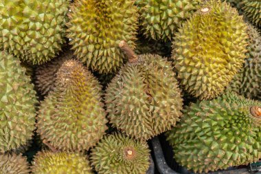  Chinatown, Singapur'da Durian meyvesinin yakın çekimi.