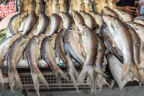 Large pile of gray fish on Nong Mon Market in Chon Buri, Thailan — ストック写真